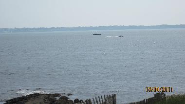 Holiday House in ploemeur(courgan) (Morbihan) or holiday homes and vacation rentals