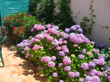 Holiday House in ploemeur(courgan) (Morbihan) or holiday homes and vacation rentals