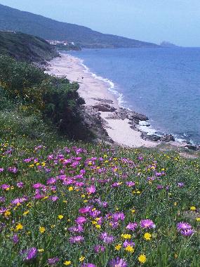 Holiday Apartment in La Mudizza (Sassari) or holiday homes and vacation rentals