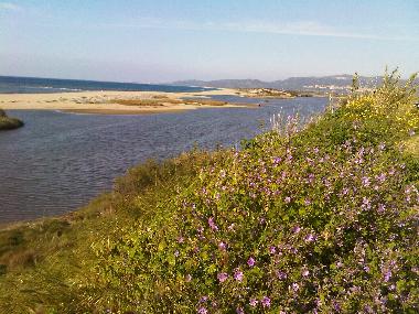 Holiday Apartment in La Mudizza (Sassari) or holiday homes and vacation rentals