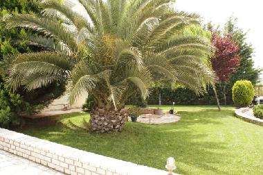 Holiday House in Korinthos (Korinthia) or holiday homes and vacation rentals