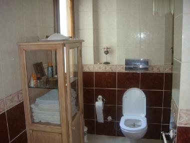 Villa in Golkoy Bodrum (Mugla) or holiday homes and vacation rentals