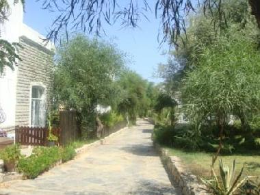 Villa in Golkoy Bodrum (Mugla) or holiday homes and vacation rentals