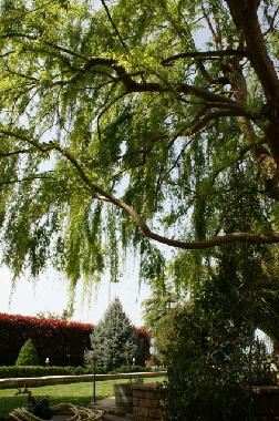 Holiday House in Korinthos (Korinthia) or holiday homes and vacation rentals