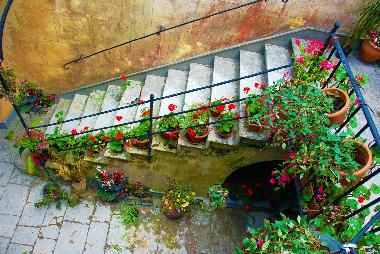 Villa in Erice (Trapani) or holiday homes and vacation rentals