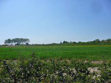 Villa in lattes (H�rault) or holiday homes and vacation rentals