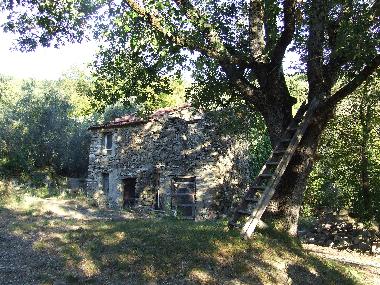 Holiday Apartment in Testico (Savona) or holiday homes and vacation rentals