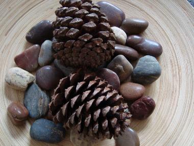 Holiday Apartment in Istanbul (Istanbul) or holiday homes and vacation rentals