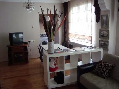 Holiday Apartment in Istanbul (Istanbul) or holiday homes and vacation rentals