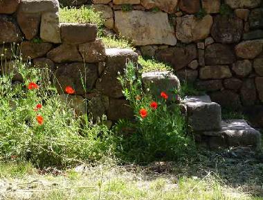 Holiday Apartment in St.Pierre-St.Jean (Ardche) or holiday homes and vacation rentals