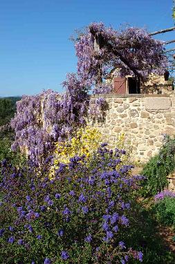 Holiday Apartment in St.Pierre-St.Jean (Ardche) or holiday homes and vacation rentals