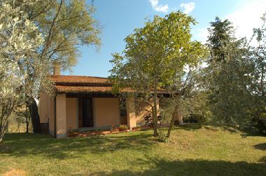 Holiday House in Castiglion F.no (Arezzo) or holiday homes and vacation rentals