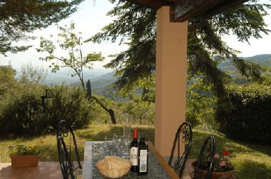 Holiday House in Castiglion F.no (Arezzo) or holiday homes and vacation rentals