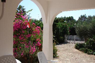 Villa in Rosa Marina (Brindisi) or holiday homes and vacation rentals