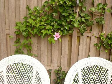 Holiday House in Bergen NH (Noord-Holland) or holiday homes and vacation rentals