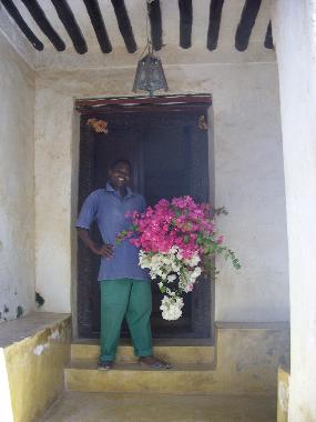 Holiday House in Shella/Lamu (Coast) or holiday homes and vacation rentals