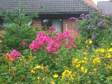 Holiday House in Groenwiehe (Binnenland) or holiday homes and vacation rentals