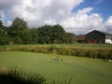 Holiday House in Groenwiehe (Binnenland) or holiday homes and vacation rentals