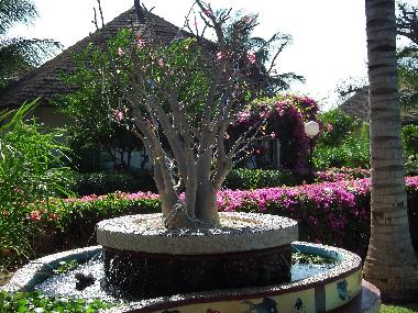 Villa in M