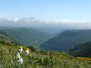 Holiday House in YTRAC (Cantal) or holiday homes and vacation rentals