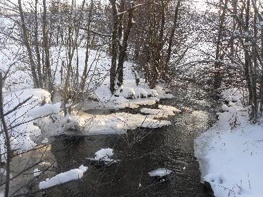 Holiday House in YTRAC (Cantal) or holiday homes and vacation rentals