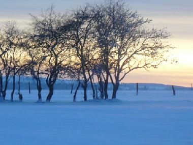 Holiday House in YTRAC (Cantal) or holiday homes and vacation rentals