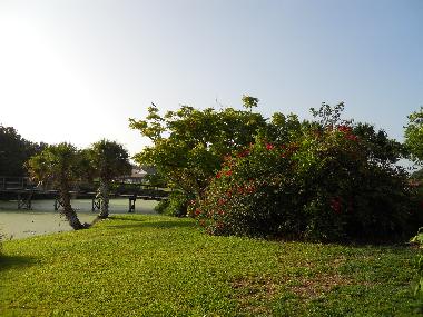 Holiday House in Sarasota (Florida) or holiday homes and vacation rentals