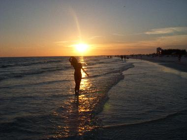 Holiday House in Sarasota (Florida) or holiday homes and vacation rentals