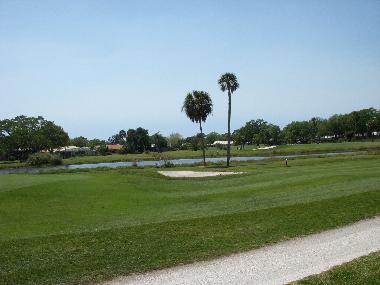 Holiday House in Sarasota (Florida) or holiday homes and vacation rentals