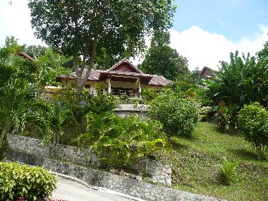 Villa in patong (Phuket) or holiday homes and vacation rentals