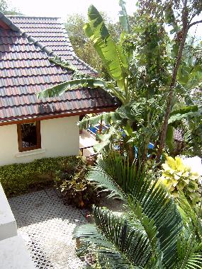 Villa in patong (Phuket) or holiday homes and vacation rentals
