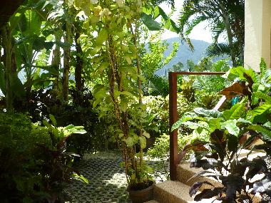Villa in patong (Phuket) or holiday homes and vacation rentals