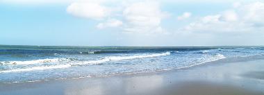 Holiday House in TORRE DEL LAGO PUCCINI (Lucca) or holiday homes and vacation rentals