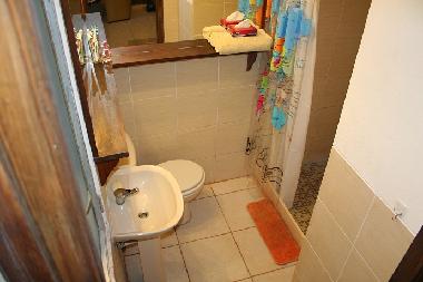 Bathroom with large shower