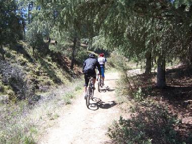 Holiday Apartment in Granada Alfacar (Granada) or holiday homes and vacation rentals