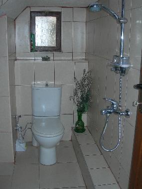 Bathroom downstairs with shower and toilet