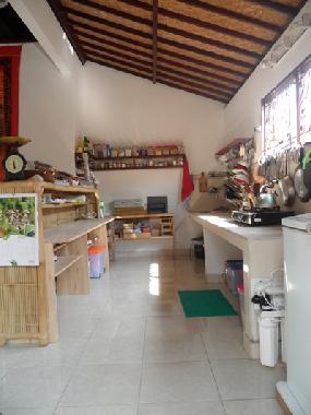 Villa in ubud (Bali) or holiday homes and vacation rentals