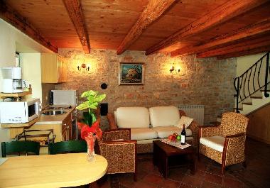 Villa in Jakovici-Tinjan (Istarska) or holiday homes and vacation rentals