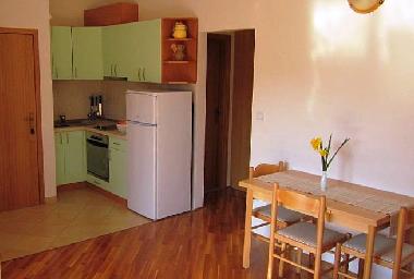 Bed and Breakfast in Dubrovnik (Dubrovacko-Neretvanska) or holiday homes and vacation rentals