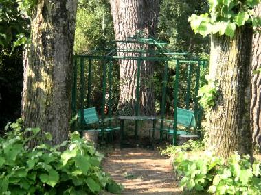 Holiday Apartment in Cortona (Arezzo) or holiday homes and vacation rentals