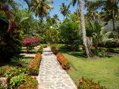Holiday House in Las Terrenas (Samana) or holiday homes and vacation rentals