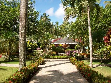 Holiday House in Las Terrenas (Samana) or holiday homes and vacation rentals
