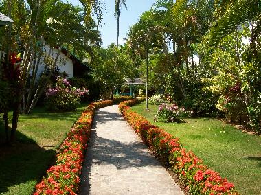 Holiday House in Las Terrenas (Samana) or holiday homes and vacation rentals