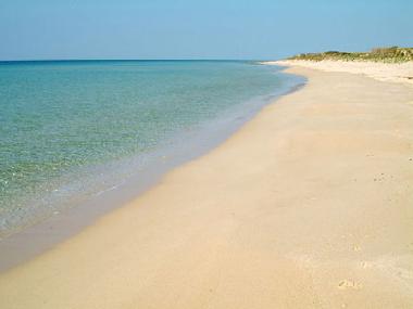 Villa in marina di pescoluse (Lecce) or holiday homes and vacation rentals