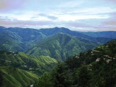 Bed and Breakfast in Shimla (Himachal Pradesh) or holiday homes and vacation rentals