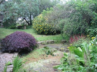 Pond