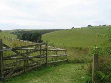 View from Parking