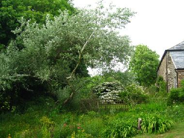 Holiday House in Modbury (South West) or holiday homes and vacation rentals