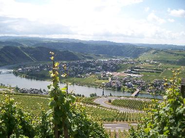Holiday House in 54347 (Mosel - Saar) or holiday homes and vacation rentals