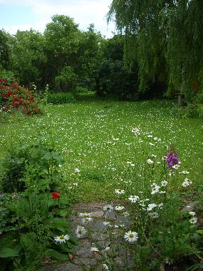 Holiday House in Bansow (Mecklenburgische Seenplatte) or holiday homes and vacation rentals